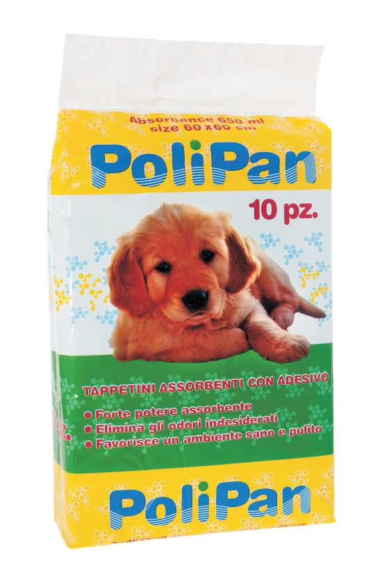 polip66 polip66