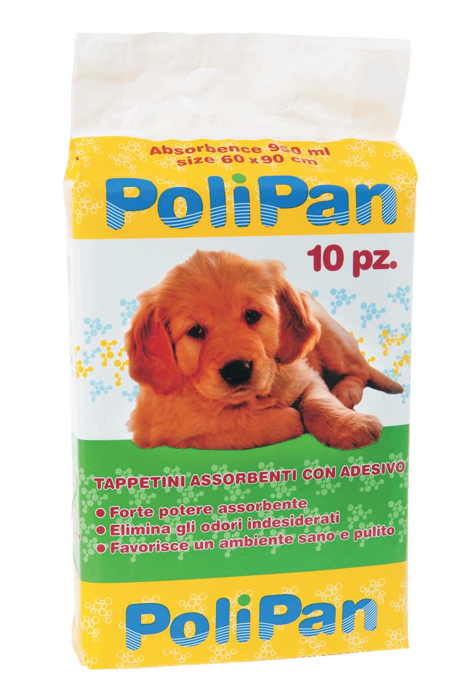 polip69 polip69
